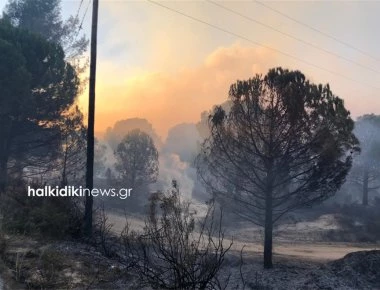 Καιγόμαστε χειμωνιάτικα: Φωτιά στην Χαλκιδική - Έχουν διακοπεί οι επικοινωνίες!